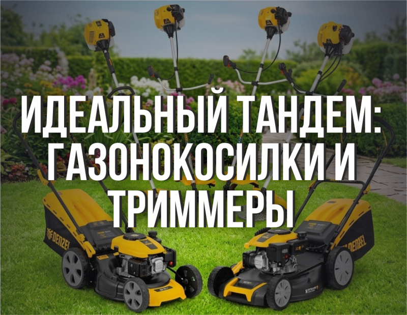 Сезон большого покоса: как выбрать идеальный тандем газонокосилки и триммера для участка в Заполярье