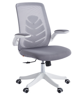 CHAIRMAN_CH565_1