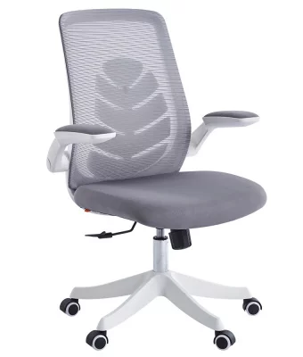 CHAIRMAN_CH565_1