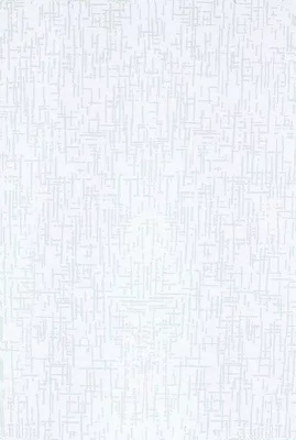833825