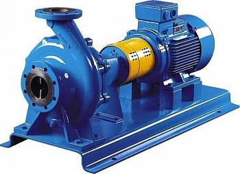802005