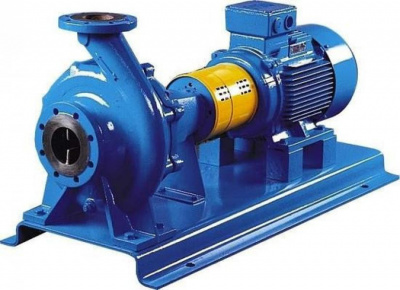 802005