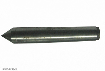 005575